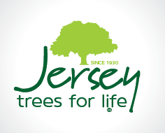 Logo Design by miartistagrafico for Central Marketing | Design #4730928