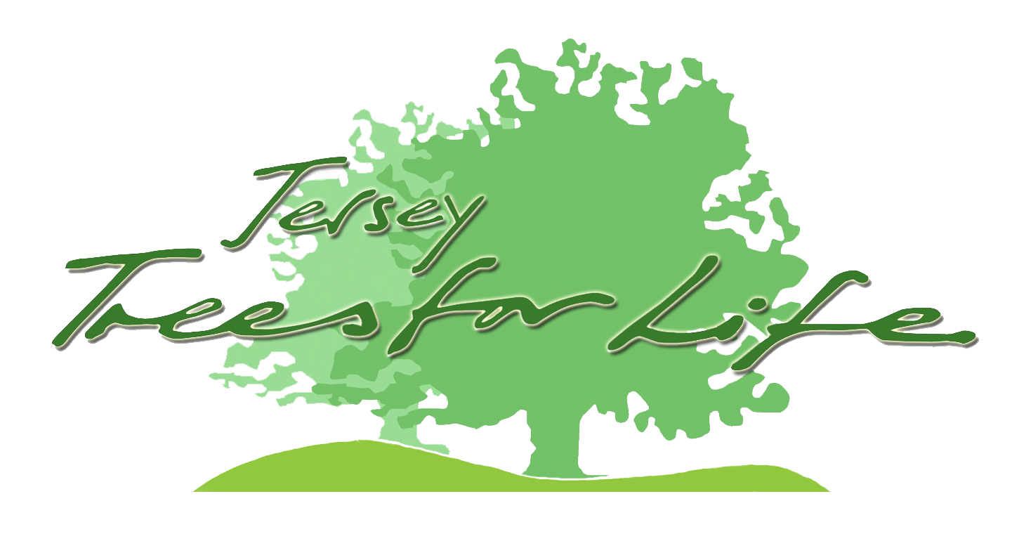 Logo Design by roynard for Central Marketing | Design #4760779