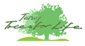 Logo Design by roynard for Central Marketing | Design #4760779