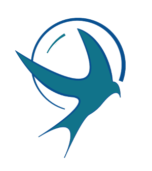 Icon Design by crhque