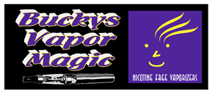 Logo Design by breleigh3
