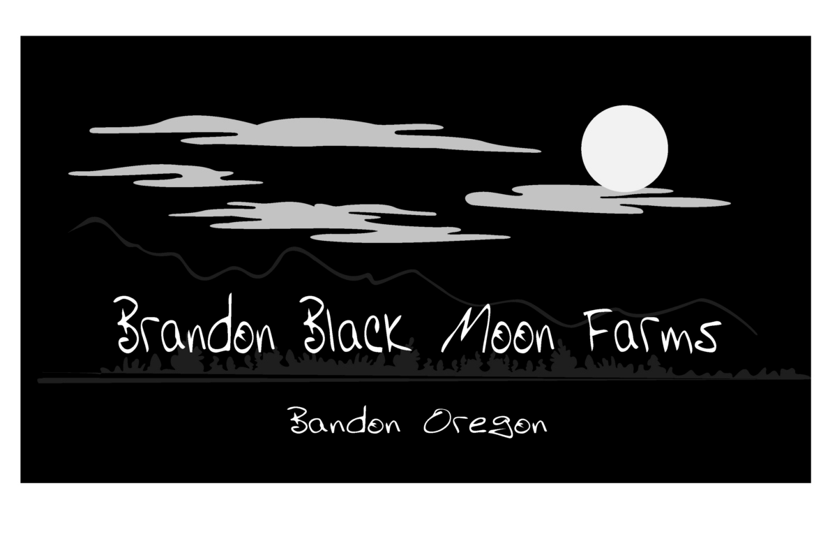 Business Card Design by nsa51southwest for this project | Design #4737233