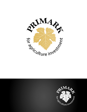 Logo Design by DUAL DESIGNER