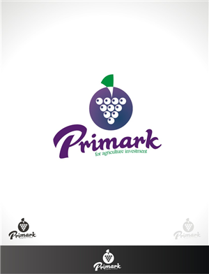 Logo Design by gray mind