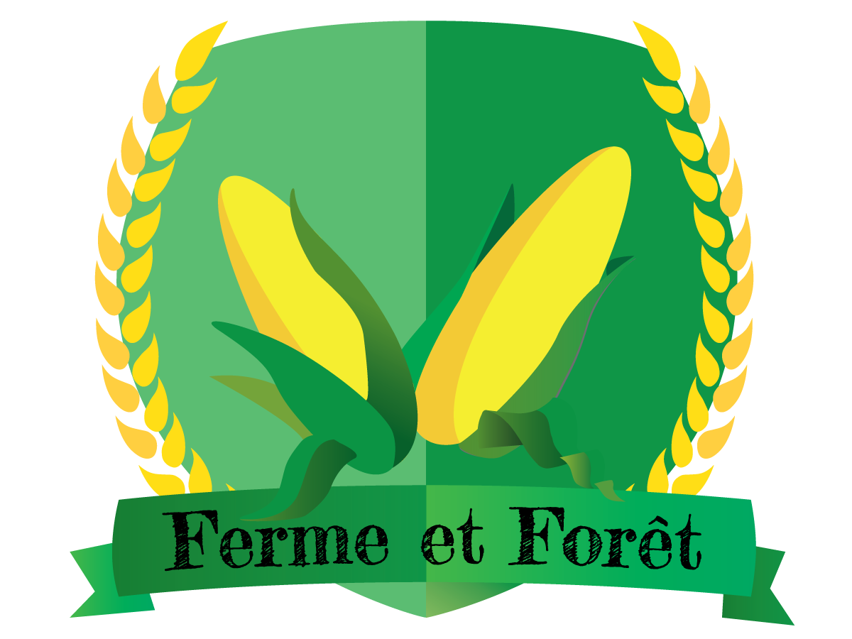 Logo-Design von Nerko85 für dieses Projekt | Design #4777850