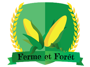 Logo Design by Nerko85