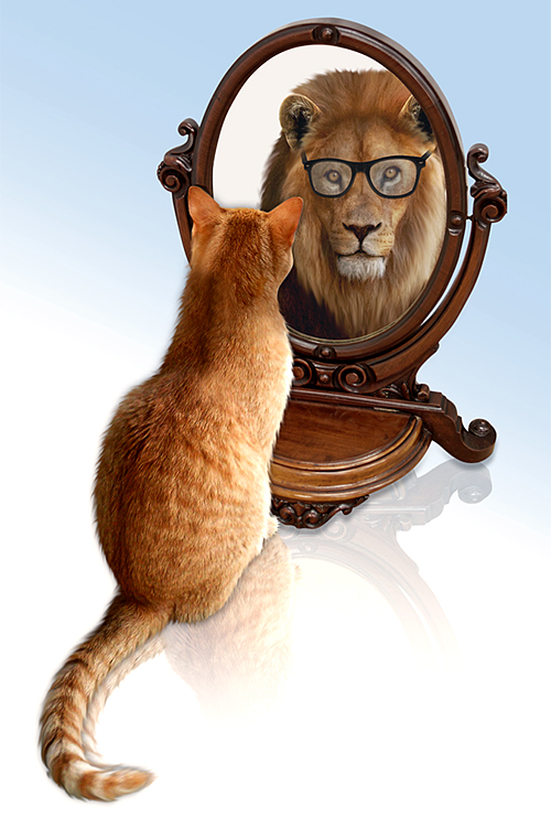 Business Card Design by Tavakoli  for this project | Design #4739522