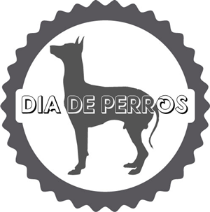 Logo Design by gordanaingoxstudio
