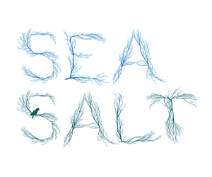 Logo Design by Bora for this project | Design #4748761