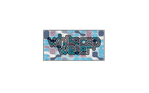Logo Design by vydenmyria