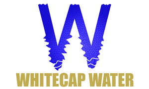 Logo Design by Gabadzi