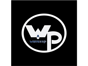 Logo Design by LPD for this project | Design: #4830883