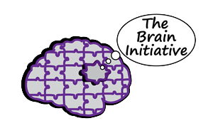 Diseño de Logo por RedefineDesigns para The Brain Initiative Research Group | Diseño: #1398036
