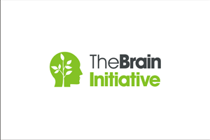 Logo Design by subhadip for The Brain Initiative Research Group | Design #1390699