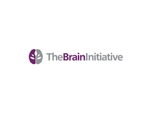 Logo Design by manyaldesign for The Brain Initiative Research Group | Design: #1397450