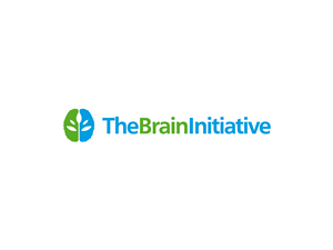Logo Design by manyaldesign for The Brain Initiative Research Group | Design: #1398488