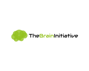 Logo Design by HLGCreativeTeam for The Brain Initiative Research Group | Design: #1436341