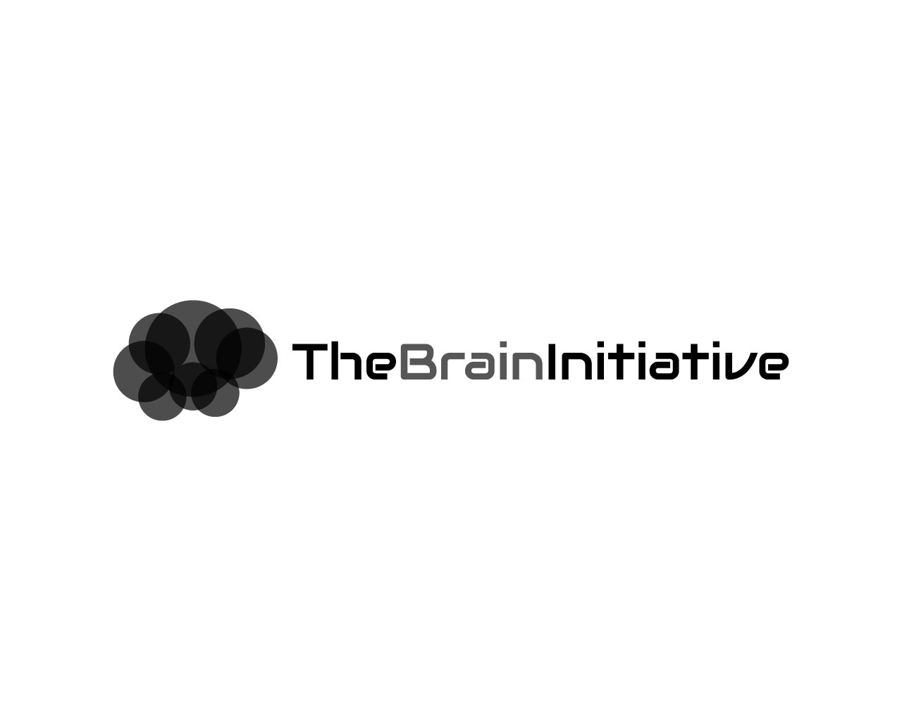 Logo Design by HLGCreativeTeam for The Brain Initiative Research Group | Design #1436348