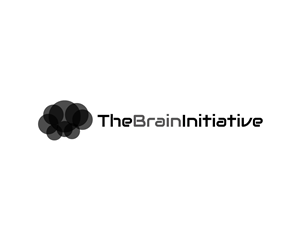 Logo Design by HLGCreativeTeam for The Brain Initiative Research Group | Design: #1436348