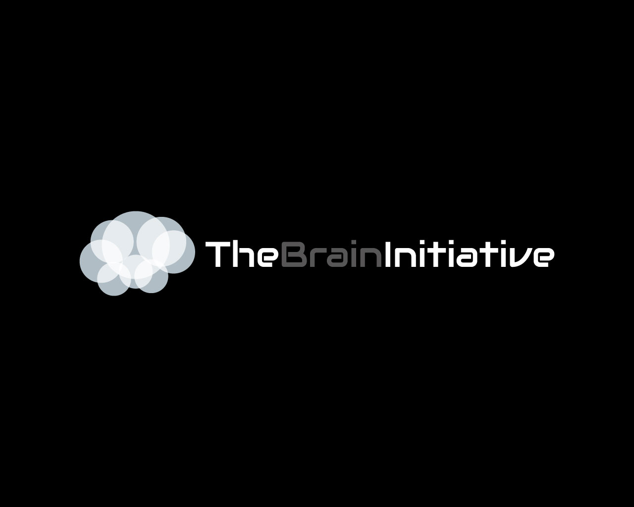 Logo Design by HLGCreativeTeam for The Brain Initiative Research Group | Design #1436353
