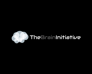 Logo Design by HLGCreativeTeam for The Brain Initiative Research Group | Design #1436353
