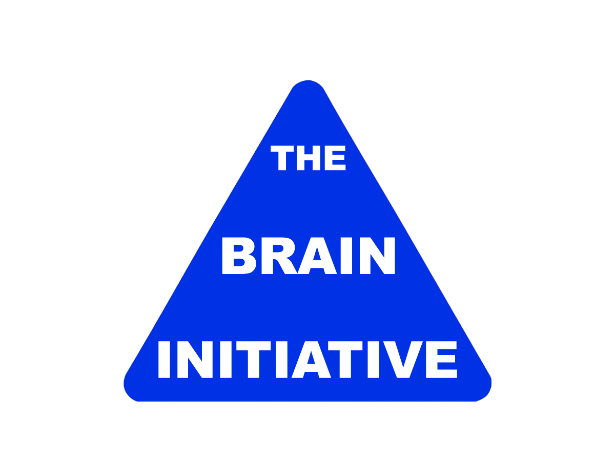 Logo Design by ChaikelDesign for The Brain Initiative Research Group | Design #1433974