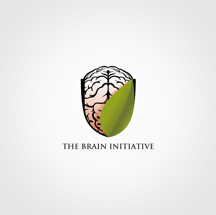 Logo Design by studio-sfp.com for The Brain Initiative Research Group | Design #1405846