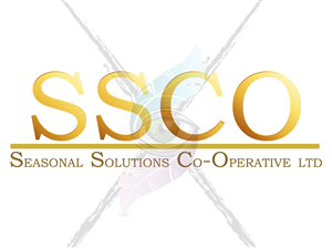 Logo Design by Matthew