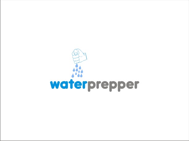 Logo Design by alexandru gutu for this project | Design #1399782