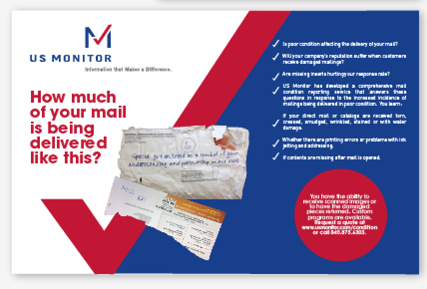 Flyer Design by DC Studio Design for Sass Internet Marketing | Design #4753566