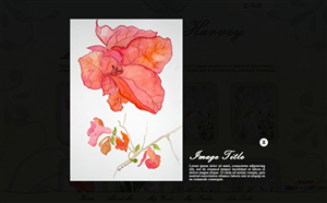 Wordpress Design by Visible Spectrum for this project | Design: #1378537