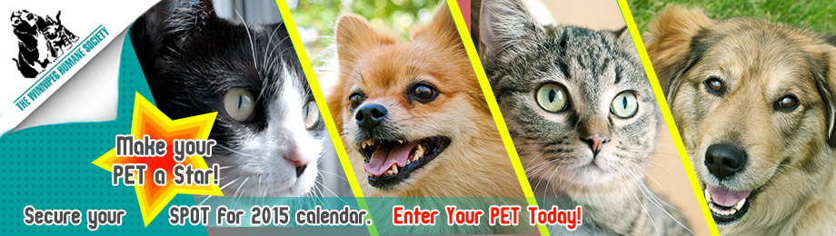 Diseño De Banner Publicitario por rdesign12 para este proyecto | Diseño #4778524