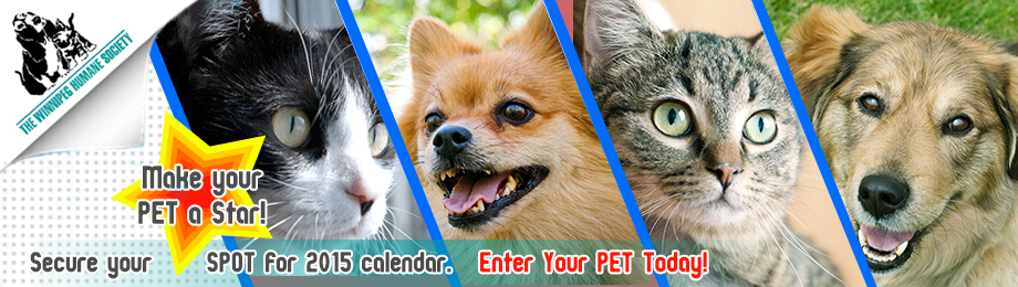 Banner Ad Design by rdesign12 for this project | Design #4778527