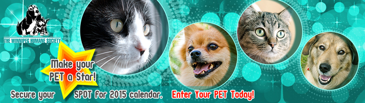 Diseño De Banner Publicitario por rdesign12 para este proyecto | Diseño #4778657