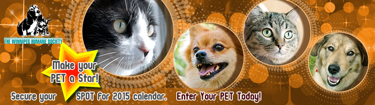 Diseño De Banner Publicitario por rdesign12 para este proyecto | Diseño #4778660