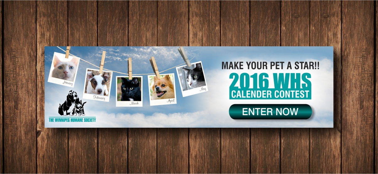 Banner Ad Design by creativeride for this project | Design #4782449