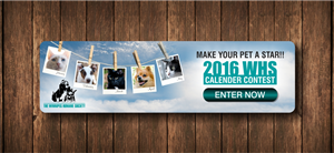Diseño De Banner Publicitario por creativeride