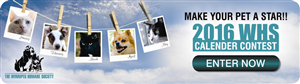 Diseño De Banner Publicitario por creativeride para este proyecto | Diseño: #4792600