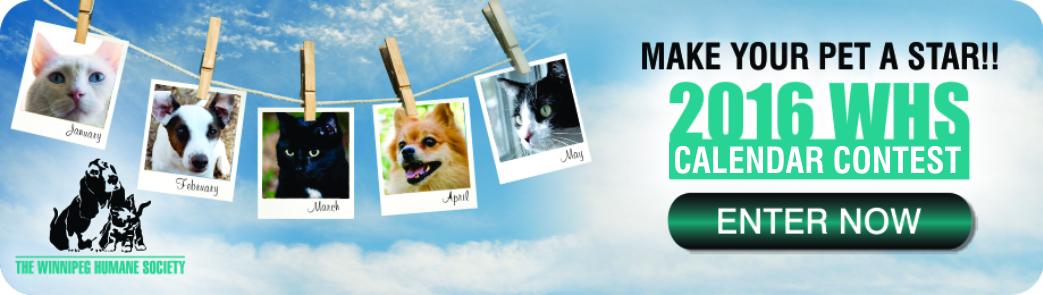 Diseño De Banner Publicitario por creativeride para este proyecto | Diseño #4805123