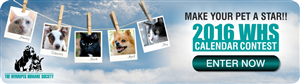 Diseño De Banner Publicitario por creativeride para este proyecto | Diseño: #4806799