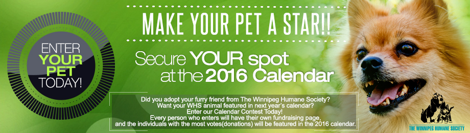 Banner Ad Design by nextconcept for this project | Design #4791156