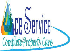 Logo Design by triad