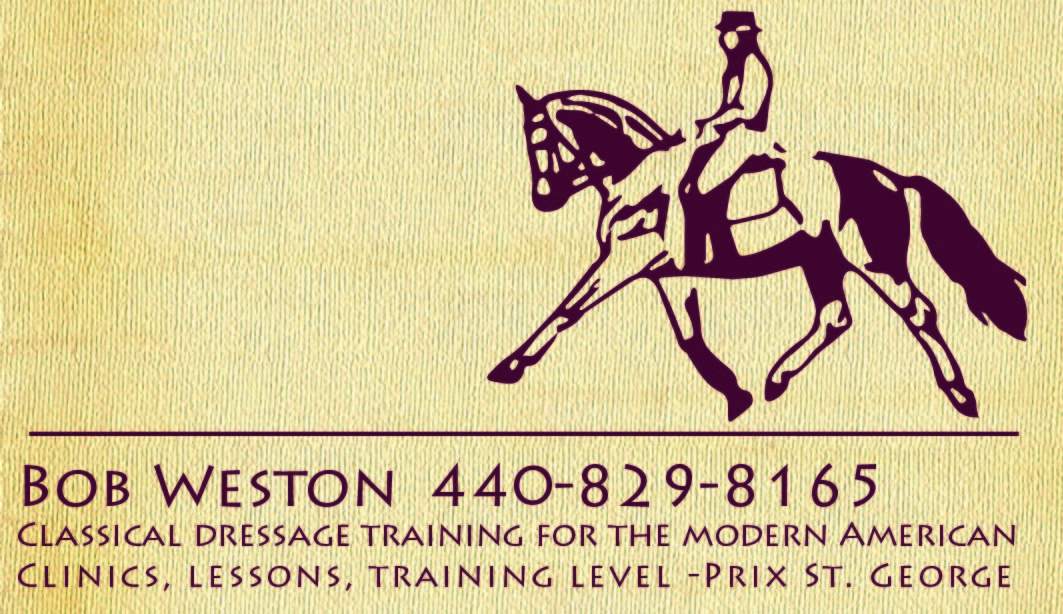 Business Card Design by aleksandra baranowska for this project | Design #4810942