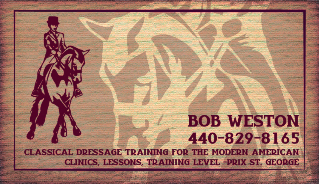 Business Card Design by aleksandra baranowska for this project | Design #4811038