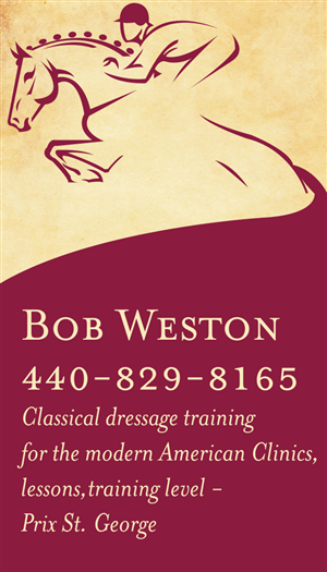 Business Card Design by Perrygraphics for this project | Design #4780999