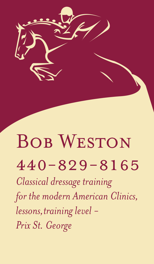 Business Card Design by Perrygraphics for this project | Design #4781006