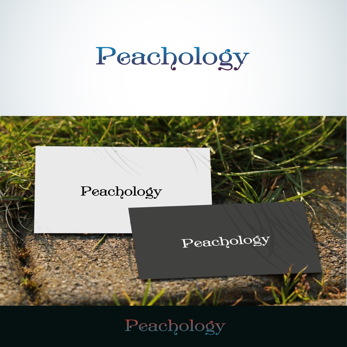 Logo Design by CastleArt for Everything''''s Peachy Limited | Design #4850121