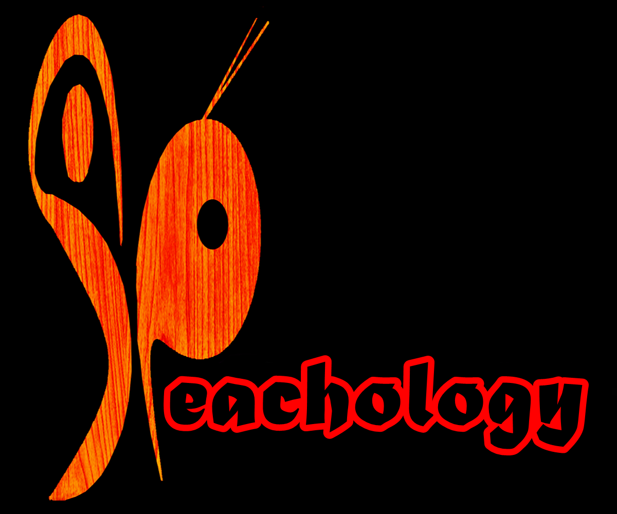 Logo Design by wendi gozali for Everything''''s Peachy Limited | Design #4806263