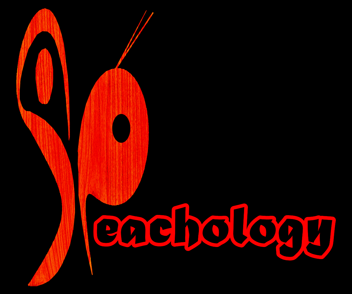 Logo Design by wendi gozali for Everything''''s Peachy Limited | Design #4806281