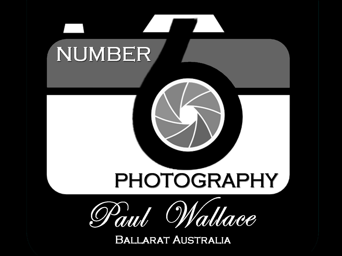 Logo Design by SP22614 for this project | Design #4756195